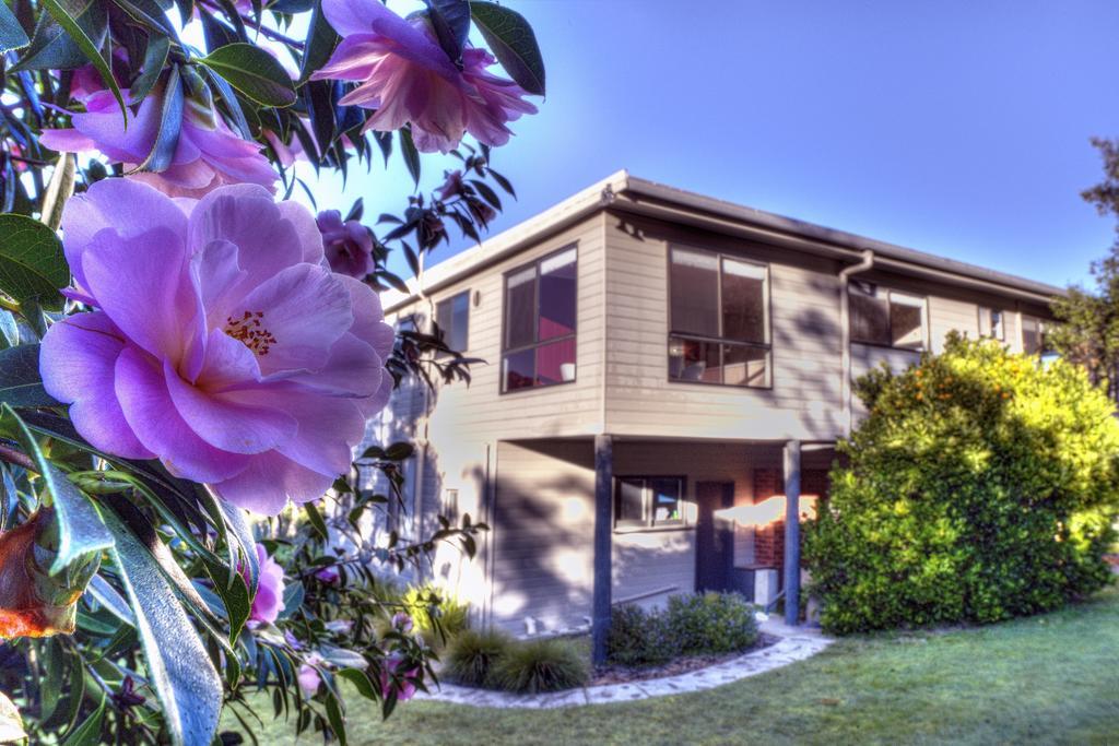 Cove Beach Apartment 2 Coles Bay Luaran gambar